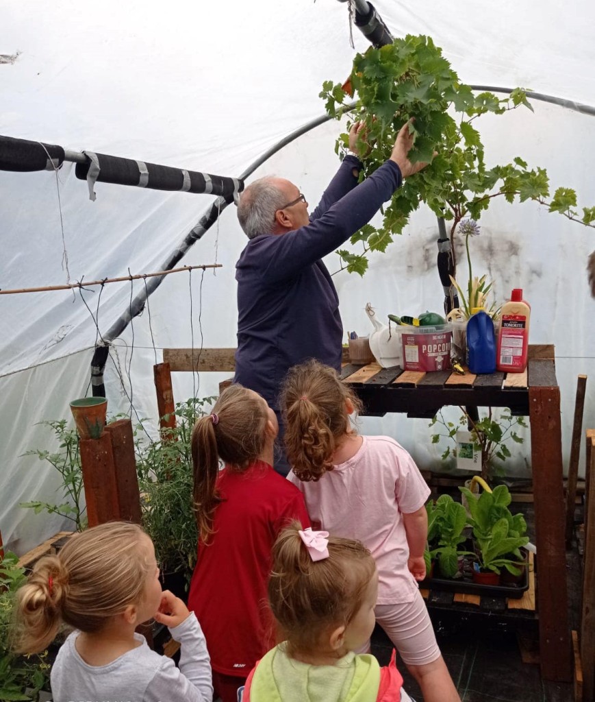 A man looks at a plant in a poly tunnel while children look on.
